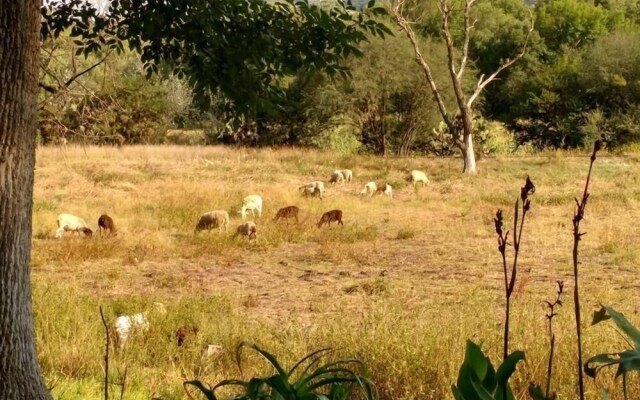 Rancho Los Alamos