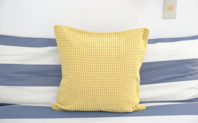 Vivid Zebra House - 197-1