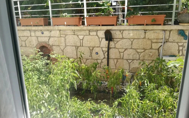 Luna Alacati