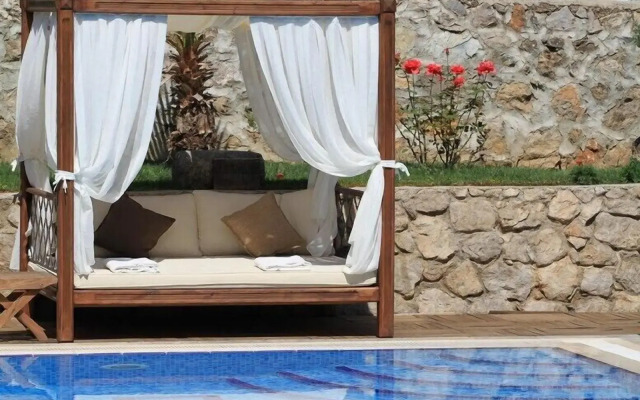 The Olive Tree Studios - Adults Only