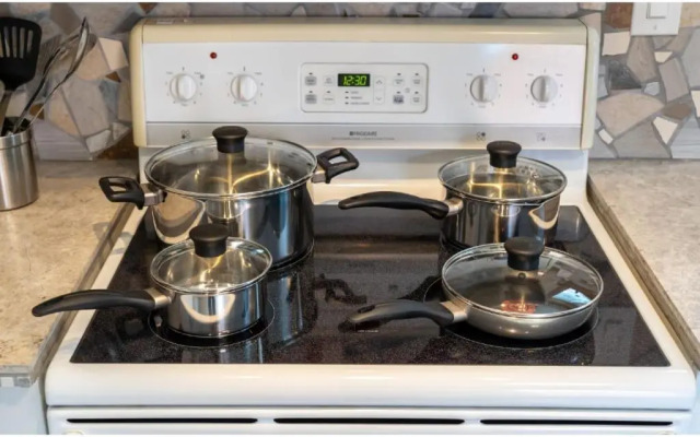 Triceratops Landing I Fire Place I Games I Netflix