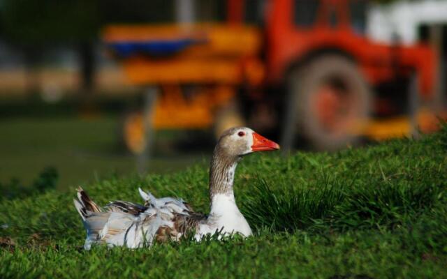 Apartamentos Laguna de Navarro