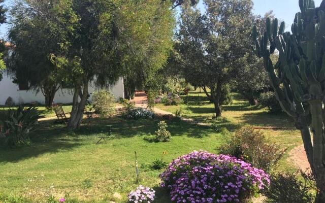 Podere 31