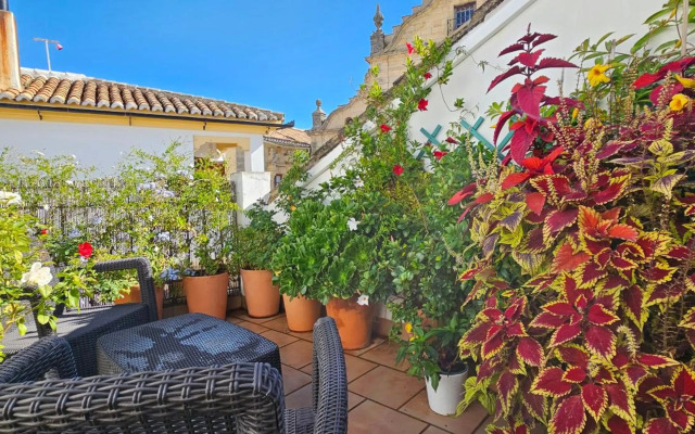 Apartamentos Los Descalzos Ángel