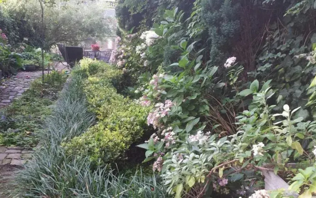 Garden Suite