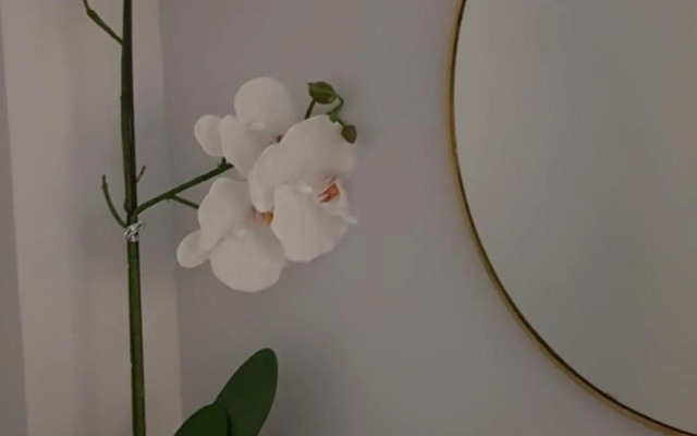 La Parada de Echegaray 10