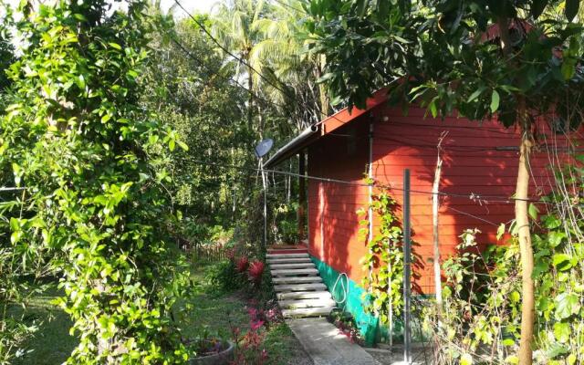 Pink Kangaroo Bungalows