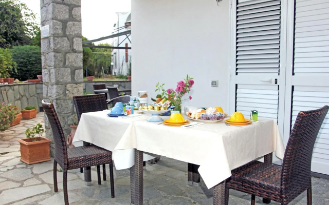 Cavalluccio Marino