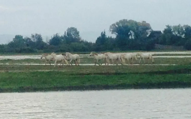 Riserva Naturale Foce dellIsonzo