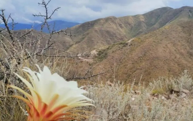 Mendoza San Isidro Cabaña