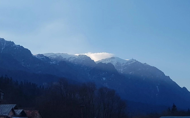 Apartament GreenStar