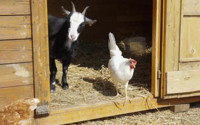 Freizeit Reitstall Schammelsdorf