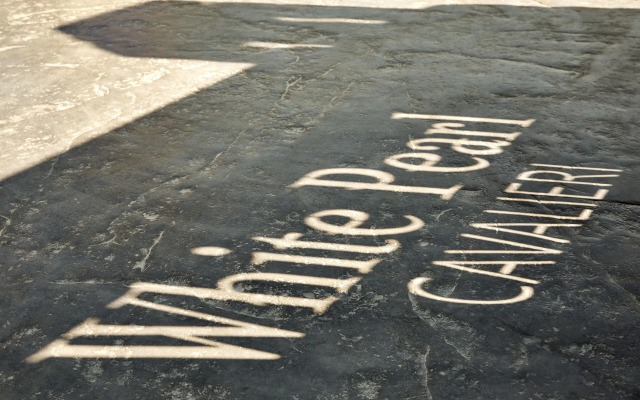 White Pearl Cavalieri - Adults Only