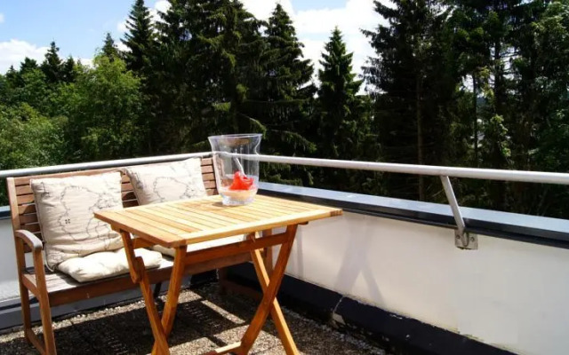 Winterberg Appartement 21048