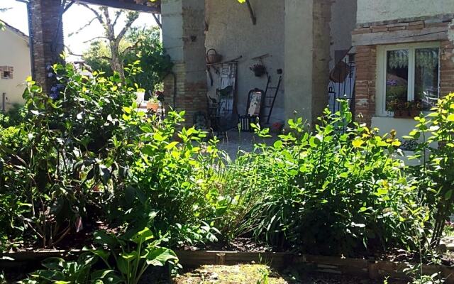 Le Clos de Saint Amour