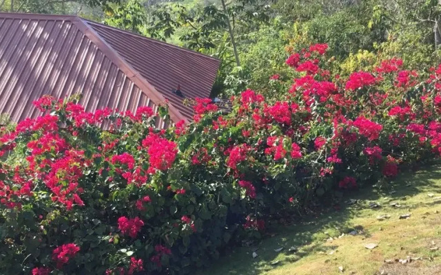 Villa Cayo - Adults Only (Adults only)