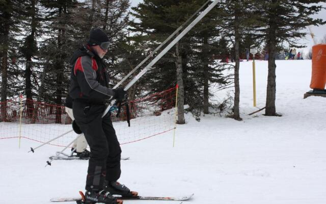 Volcans Vacances Les Chalets Du Lac