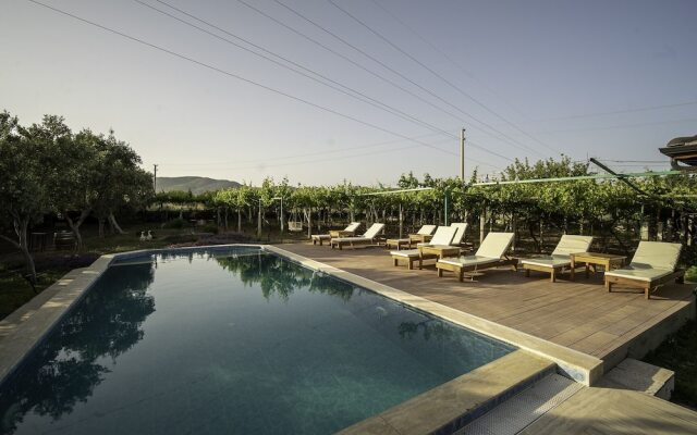Grape Datça