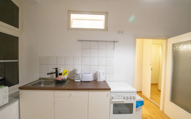 Tolstov-Hotels Large Central Apartment