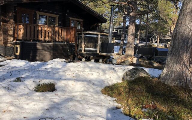 Stora Sjöfallet Mountain Center