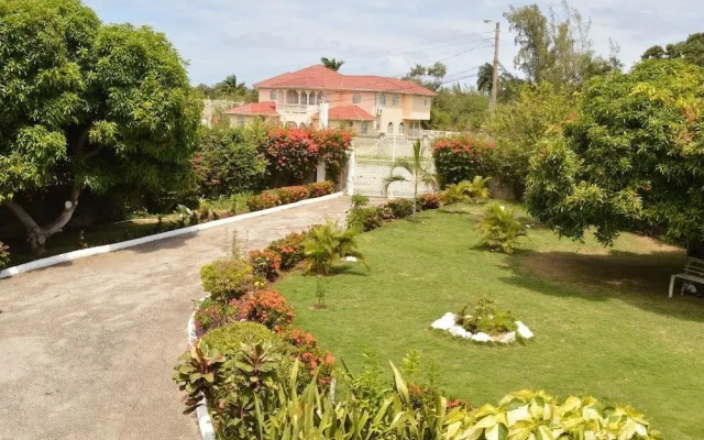 Nature's Bliss Jamaica
