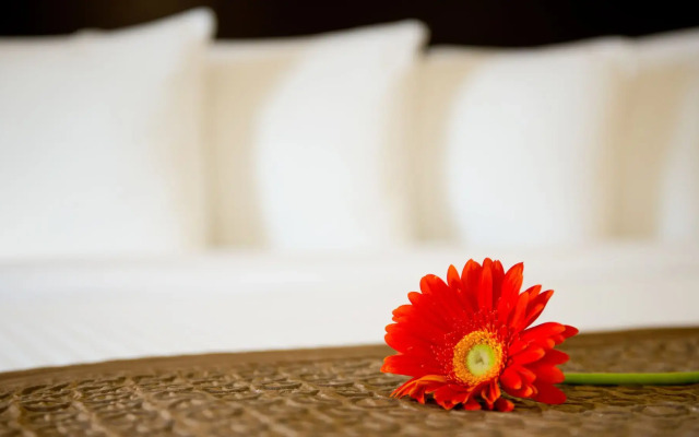 Park Inn By Radisson Toronto - Markham