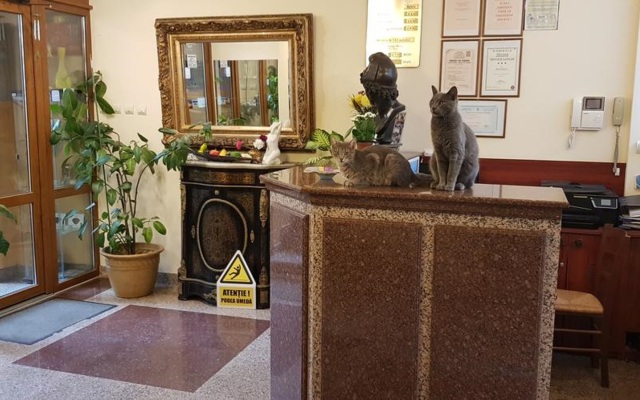 Hotel Michelangelo