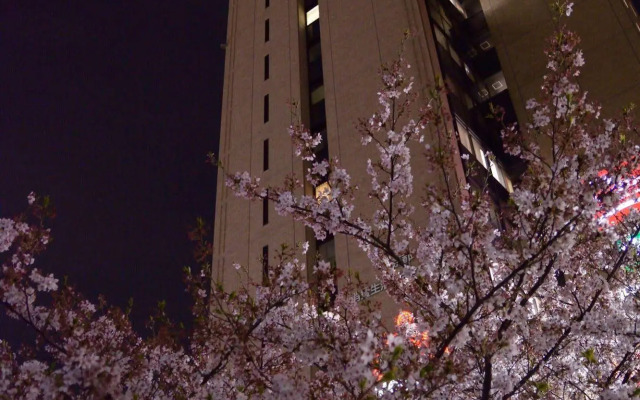 Tokyo Central Youth Hostel