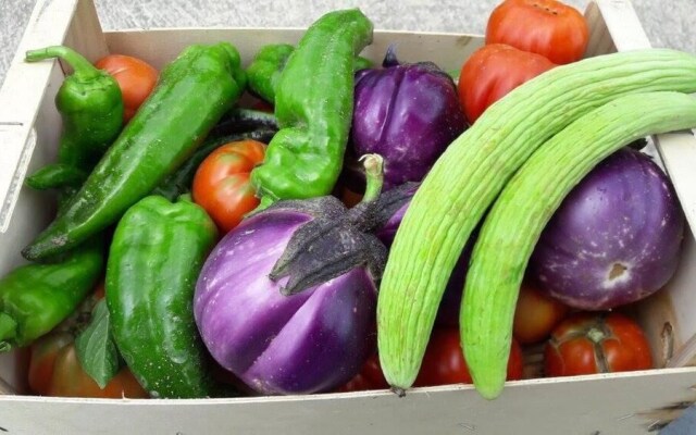 Azienda Agrituristica Colle San Giorgio