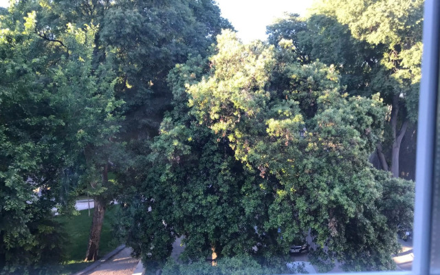 Central Park Residence