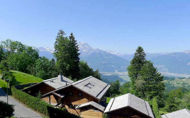 Les Girolles - Inh 24655