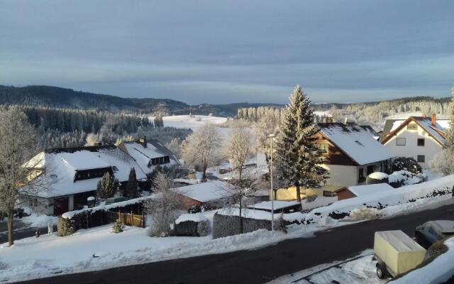 Appartement mit Südbalkon im Haus Feldbergblick in Kappel - Appartement 37