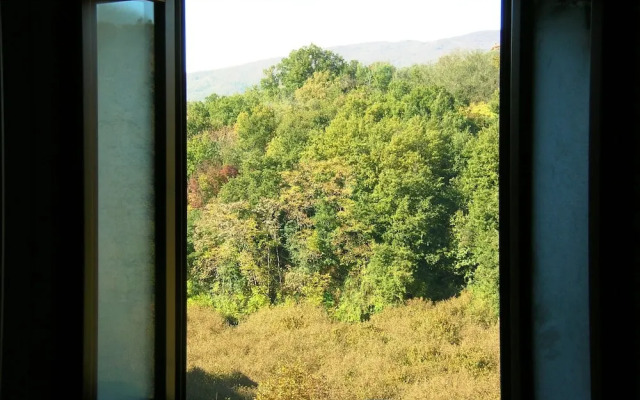 Ancient Rural Tower in Tuscia Area, Near Viterbo Italy