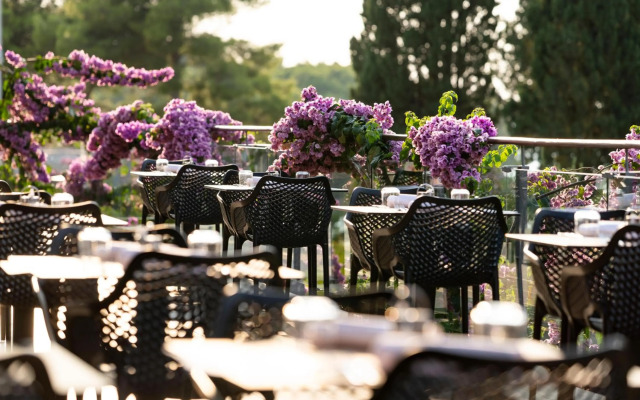 Aminess Velaris Resort