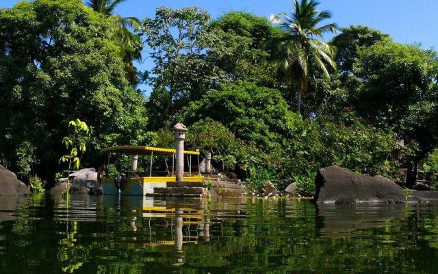 Zopango Orchids Island