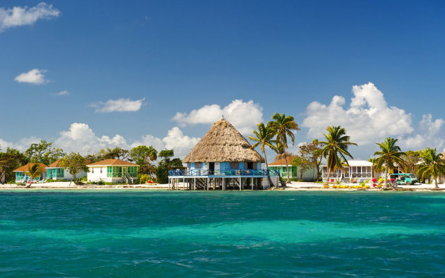 Blackbird Caye Resort