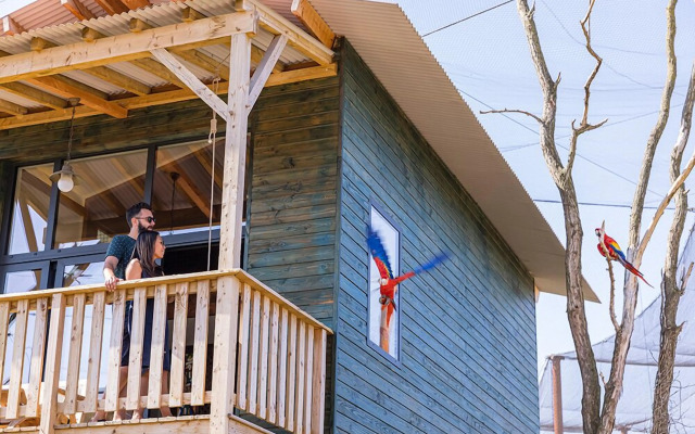 Les Lodges - Parrot World