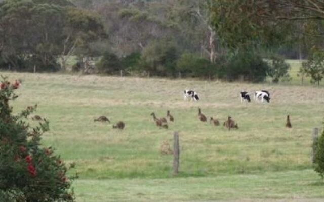 Woody Grange Chalets
