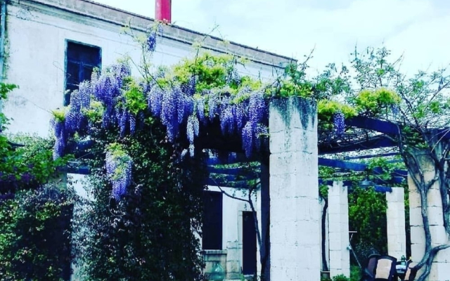 Lamalunga Country House