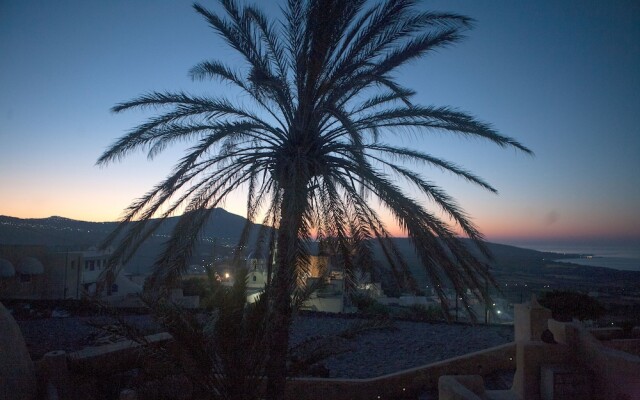 The Palm Tree Residence