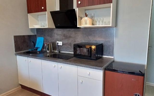 Апартаменты Тверичанка на ул. Коминтерна,  д. 91