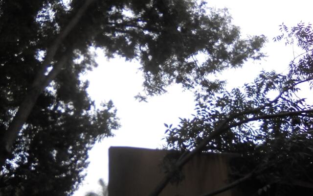 Private Garden Apartment