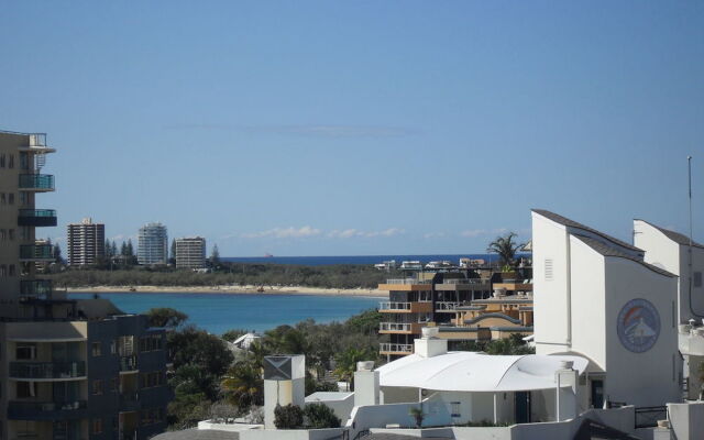 Pandanus Mooloolaba