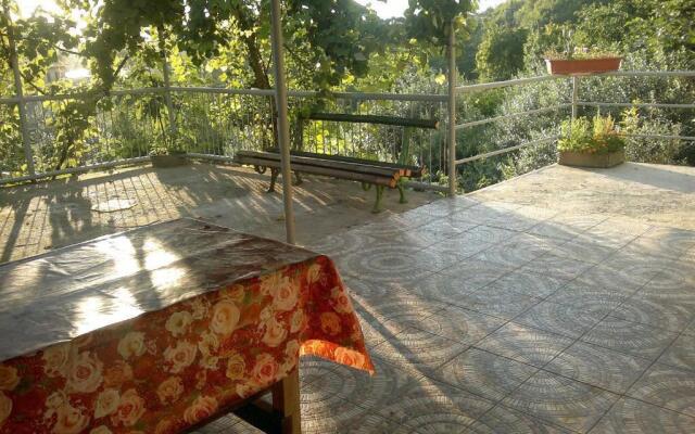 Guesthouse in Gagra