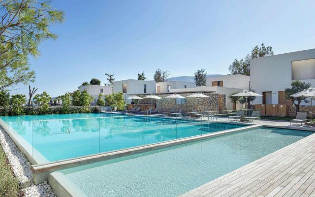 Voyage Torba and Private