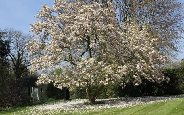 Detmore House