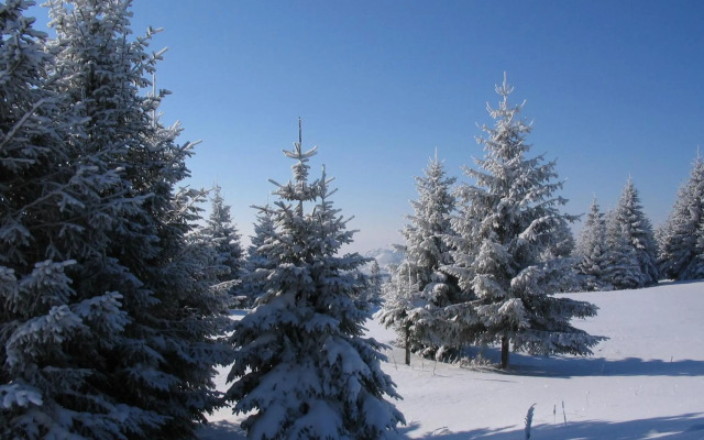 Villa Kostic Kopaonik