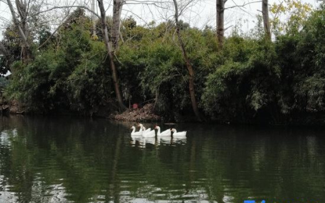 Xiangcaoyuan Holiday Farm