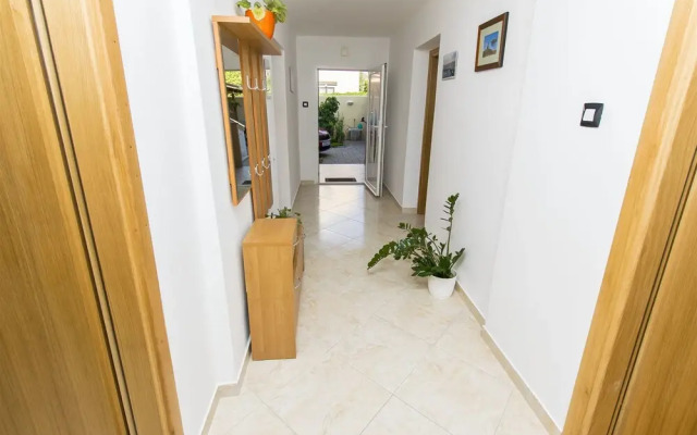 Apartment Branimir