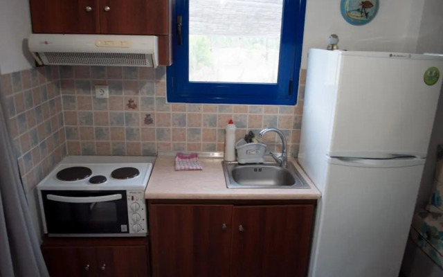 Blue Dreams Thimonia